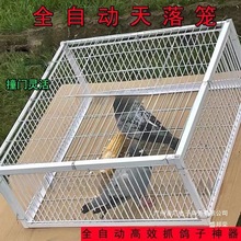 厂家直销捕鸽 抓鸽子笼全自动收鸽笼天落笼楼顶户外只进不出野外