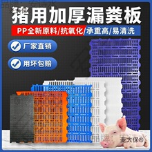 加厚养猪漏粪板猪用塑料母猪产床漏粪板狗小仔猪保育床羊床麦太保