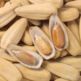 �ŷ��ִ����2025��Ƥ��500g��ζ����ɢ�b��؛�Թ����ֿ�����