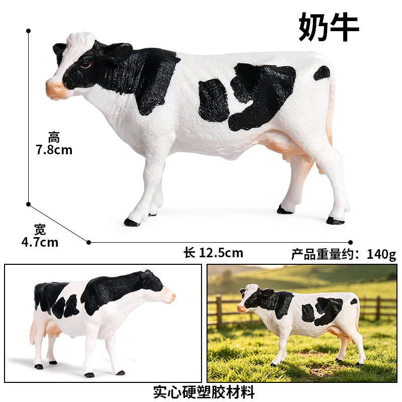 619 vacas