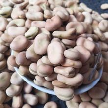 ��Ƥ�Q���N���_�h��С��С�����N���ձ��M�ڸ߮a�ͺ��ﶬ�߲˷N��