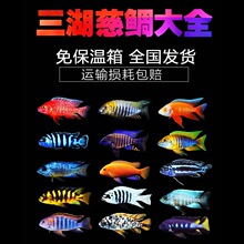 ���������R���{�җ��������ӟᎧ�~�җ�С�͵�ˮ�~�^�p�~���w���]
