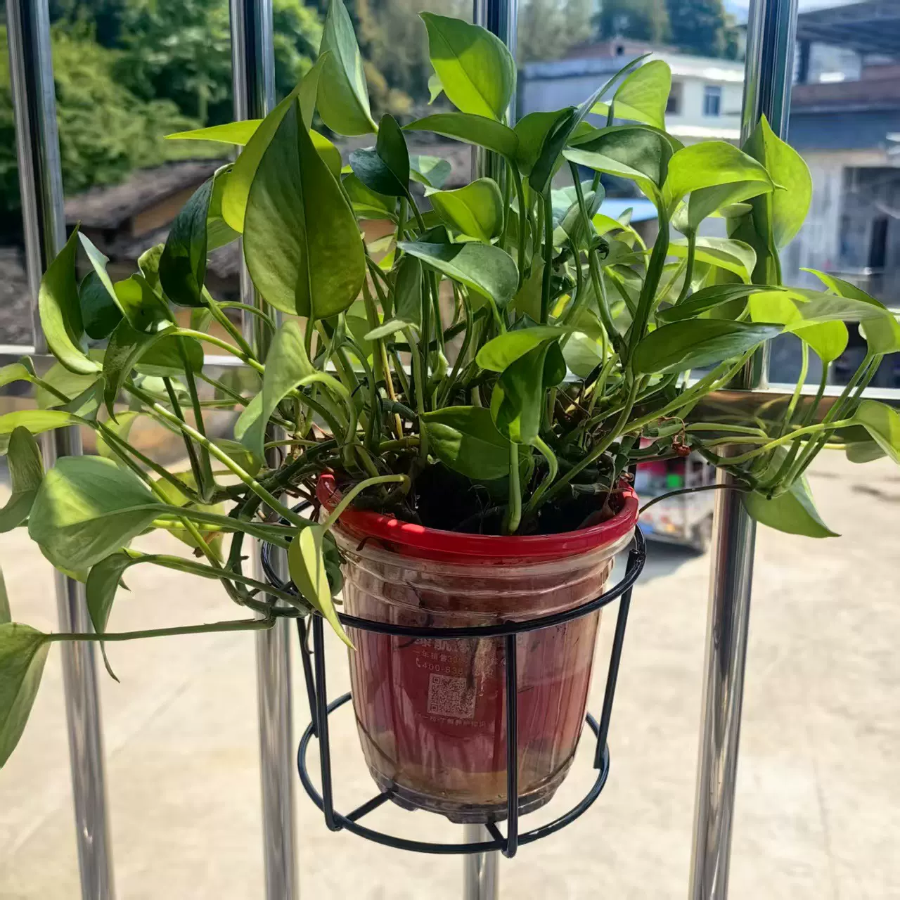 铁艺栏杆护栏阳台花架悬挂式花盆架绿萝多肉吊兰花架子窗台置物架