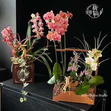 �������������r���������b�͹�ľ�з��滨�廨����з��л�ˇ����