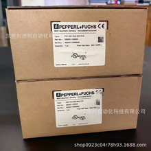 PXV100-F200-B25-V1D ���Ӹ���W�x�^ȫ�� �h�r����