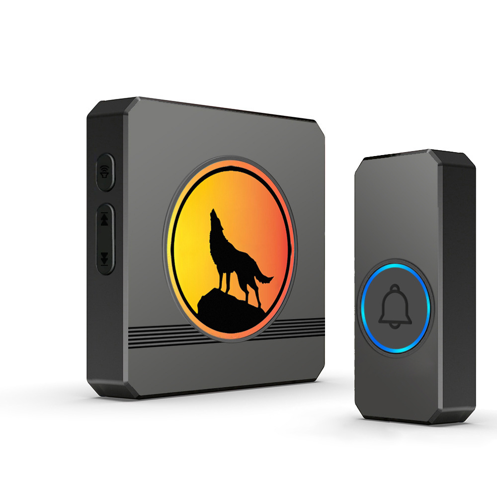 블랙 아메리칸 스탠다드