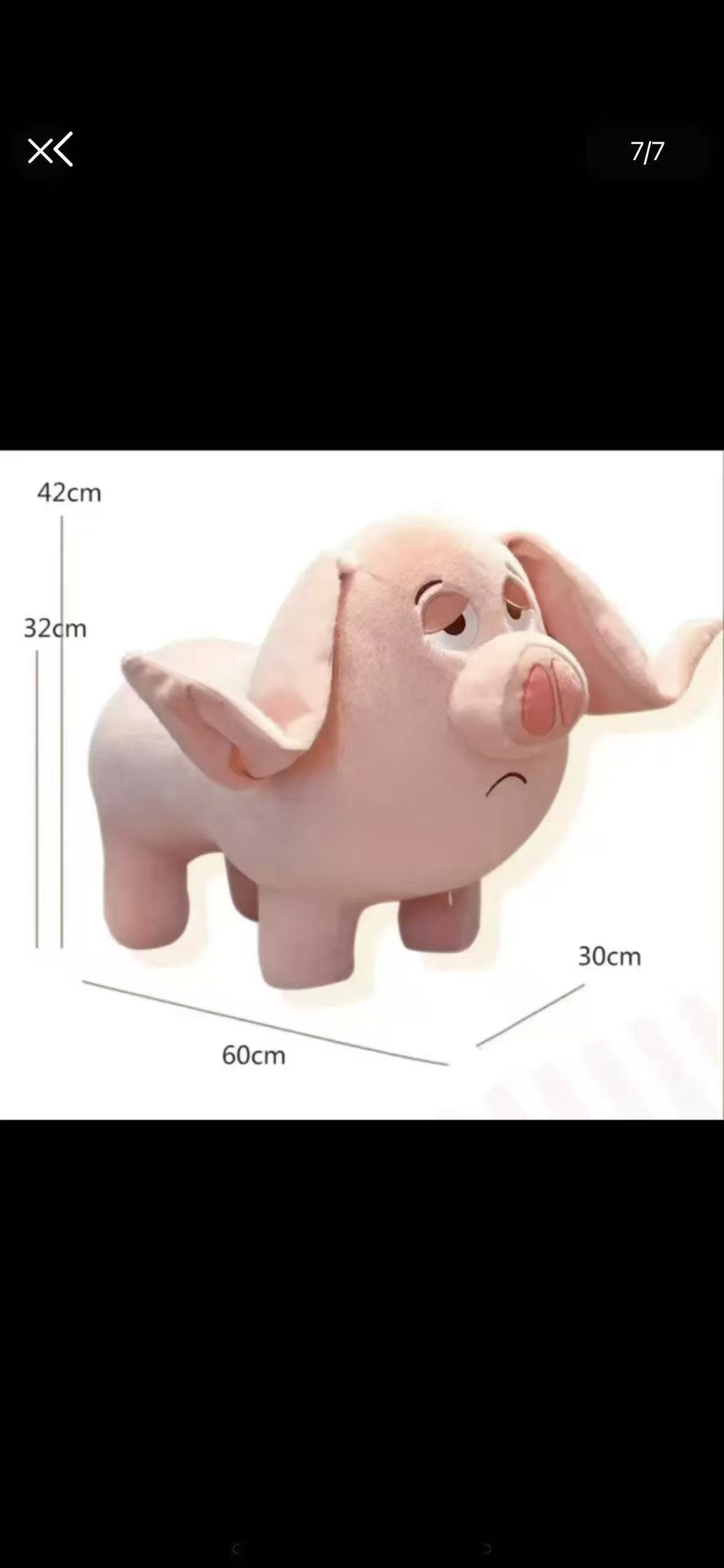 微信图片_20250609095726