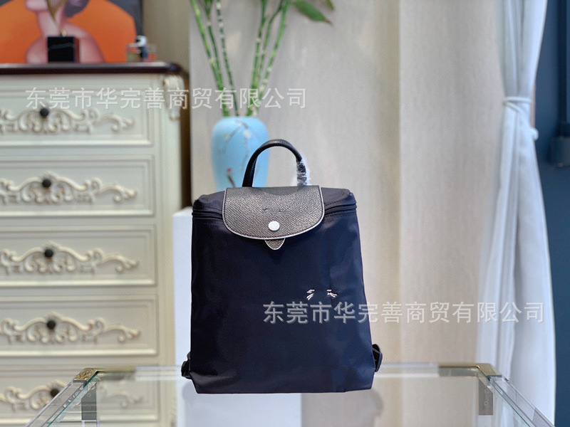 莞产跨境骧家双肩包轻便休闲旅行防水背包女式手提书包2025新款|undefined
