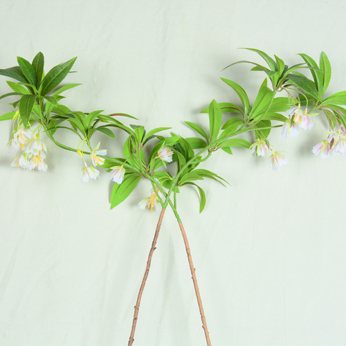 Simulated water stone fig flowers and leaves Nordic green plants small fresh feel plant decoration ornaments wedding photography landscaping fake flowers