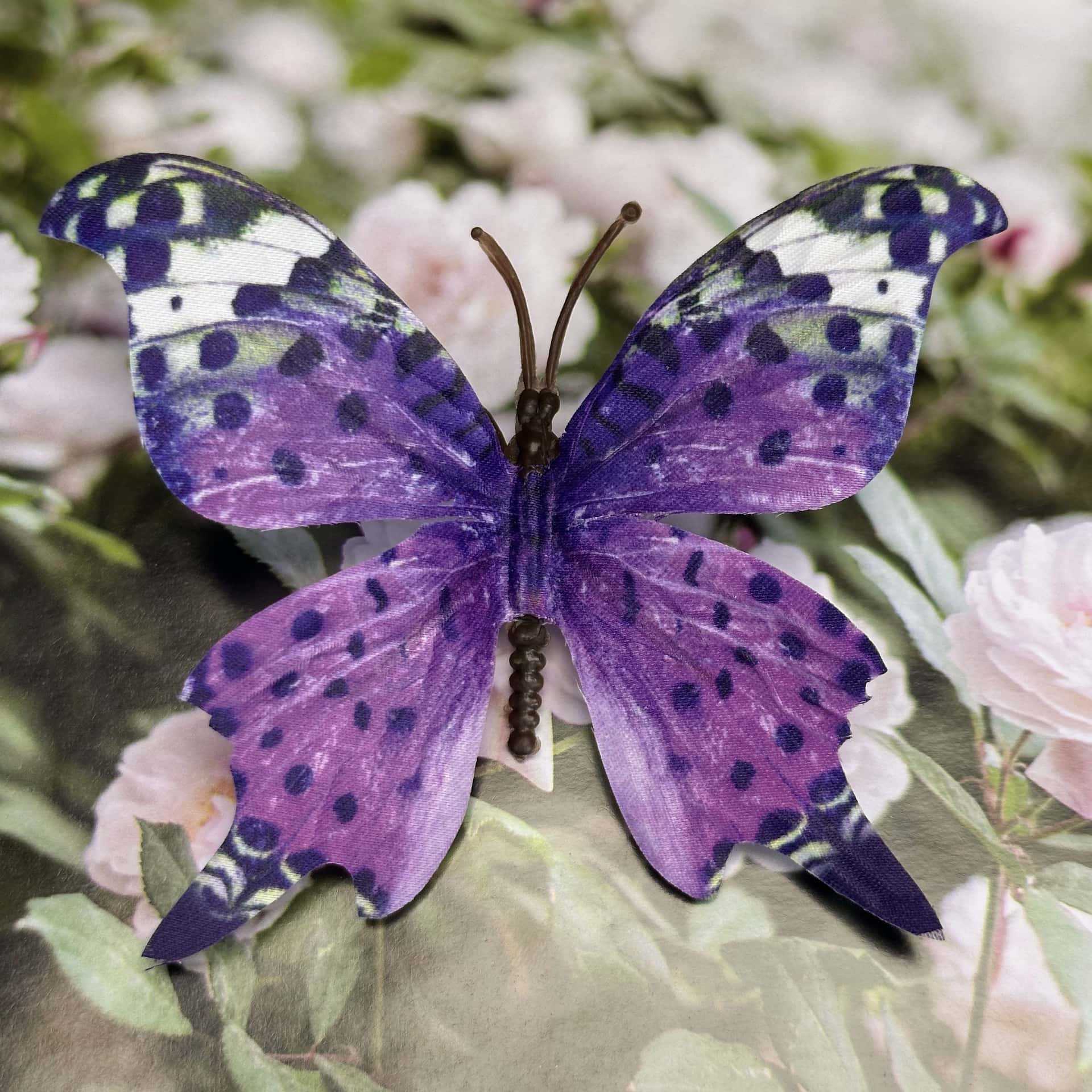 Seda 11CM color mariposa talla grande 27