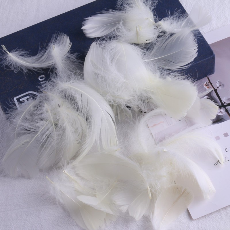 베이지 (100 루트 배치)