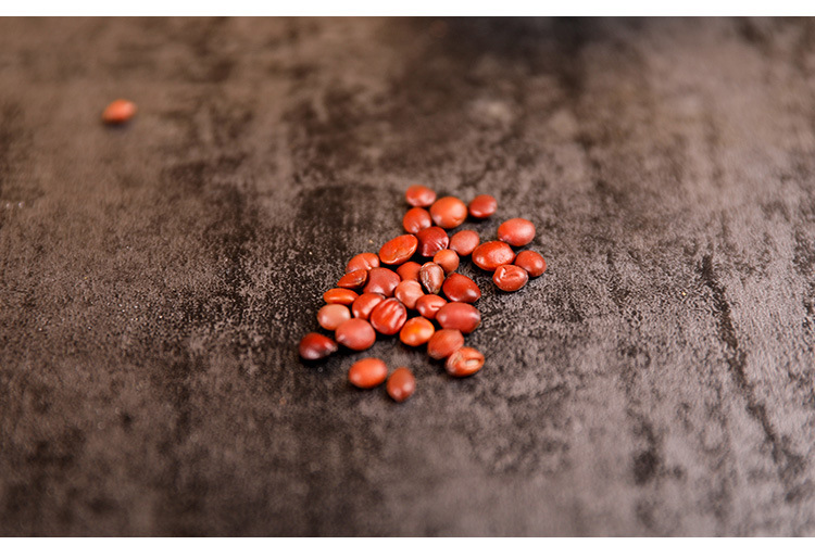 Sour Jujube Seed Suan Zao Ren Stir-Fried Dried Herb 500g Bag Hebei Origin Traditional Sleep Support preparation