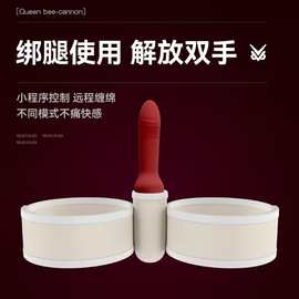 枕趣绑腿带中号通用版 玩具炮机固定带 夫妻情趣用品玩具