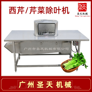 ���ˏN���O�� �۲����۳��~ȥ�~�C ���������~��ժ�~������Ч�ʸ�