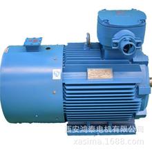 鸿泰变频调速三相异步电机	YBBP-315S-2	110KW	380V	纯铜漆包线