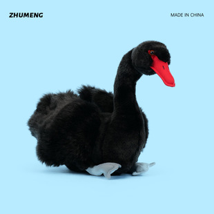 �S�Ҍ��I�����������Zë�q���пɐۺڰ����Z��ͯ��ż�����ޔ[��