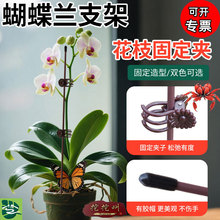 ���l�����m֧�ܻ��A��֧�ΗU���܌���֧���������F�z���͈@ˇ�̶�