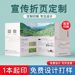 カラーページ広告ポスターチラシ製品説明書会社パンフレットデザイン両面 70% off ページアルバム印刷