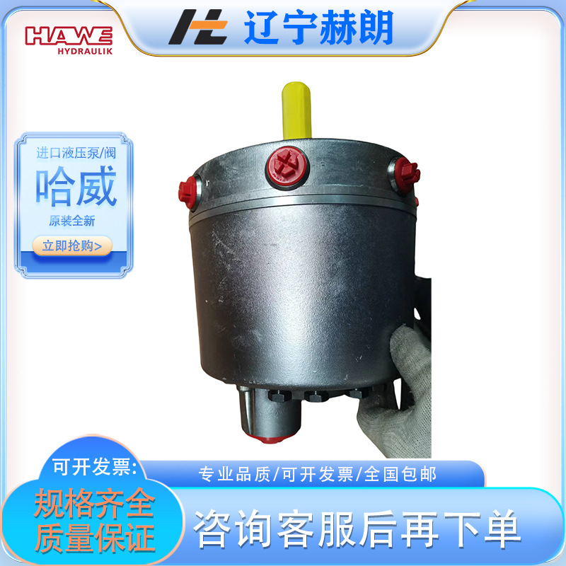 德国哈威R系列高压泵 R9,5-1,4柱塞泵 HAWE液压泵 油泵