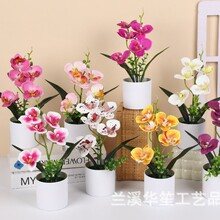 XT���Ʒ�������m����[��õ�廨�����bGֲ�ٺϼٻ���������