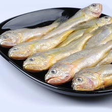 东山岛黄花鱼 海鲜冷冻水产400g/盒【爱心鱼满舱一件代发直播】