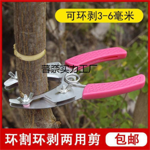 �@�֭h�е�С�h��������h������h��h����h�������Ƥ����