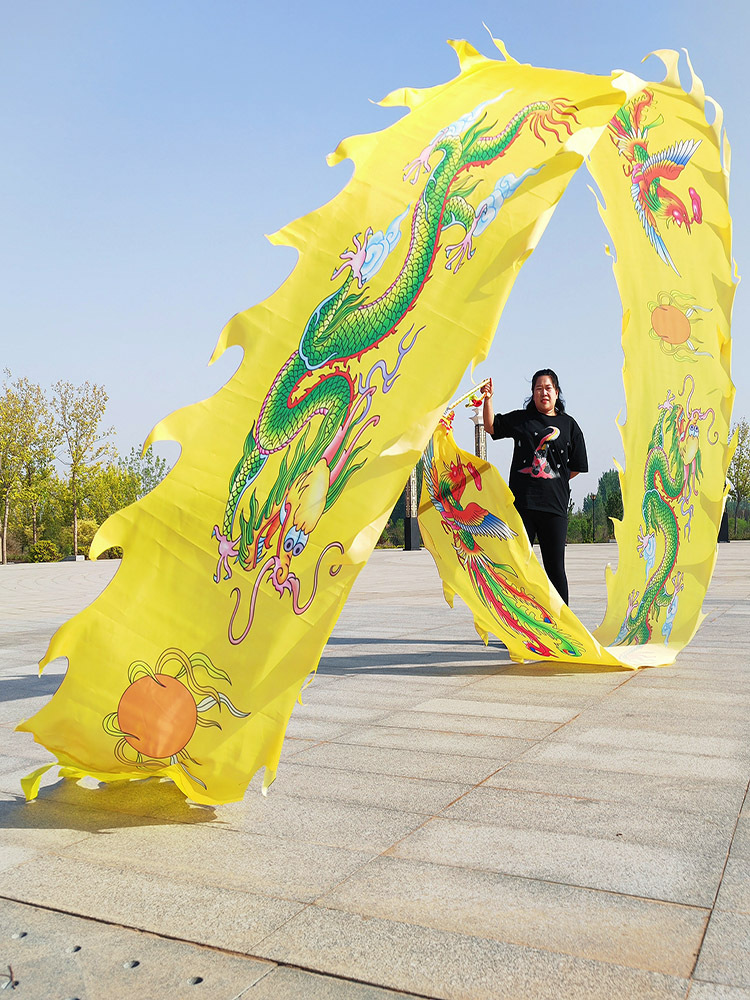 户外广场健身龙带甩彩带龙凤呈祥中老年儿童学校表演中国舞龙道具