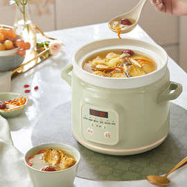 Bear/小熊 DDG-E20M1电炖锅家用多功能智能预约2升陶瓷煮粥煲汤锅