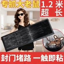 �����N������ճ���ħ̺ץ������A��׽�����zմ�����ò�������