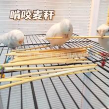 鹦鹉啃咬玩具 天然麦秆小麦杆子消耗玩具适合虎皮玄凤中小型鹦鹉