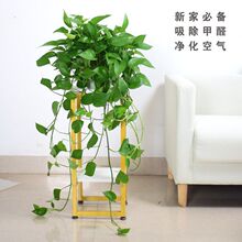 �G�}�L�پGֲ�����҃��L�ٿ͏d�Gֲ����������ȩ��ݗ������՚�