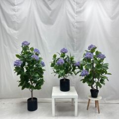 感覚の紫色のアジサイの結婚式の装飾小さな家具の装飾床の鉢植え