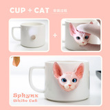 Iades с игрой, чашка для головы кошки, трехмерная кошка Цзянсианская слепая слепа