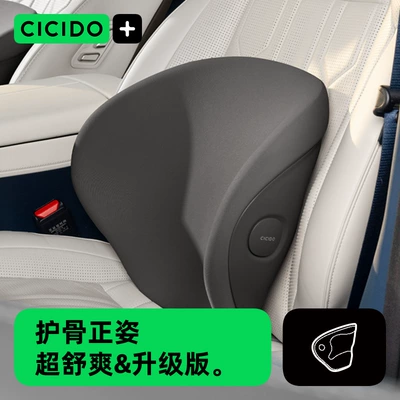 Car Male and Female Driver – Waist support