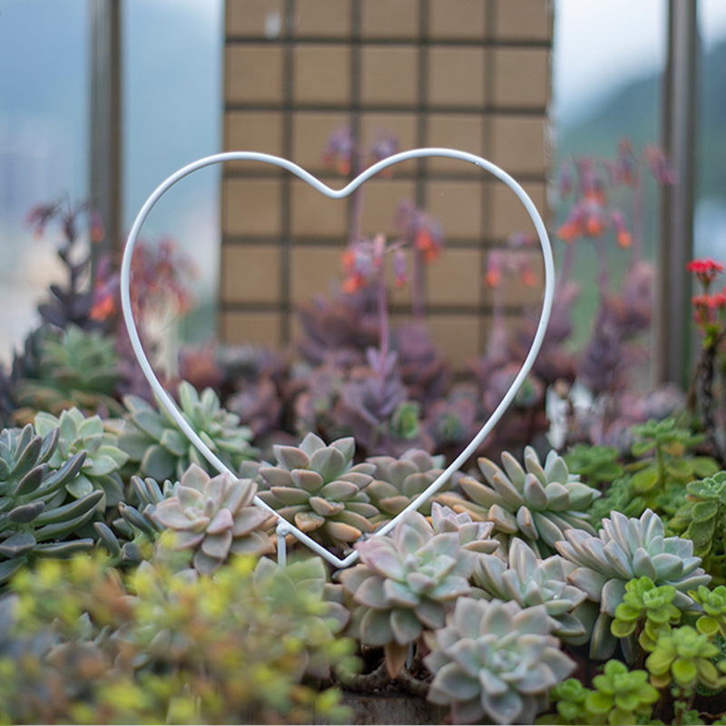 하트 모양의 흰색 꽃꽂이 [굵게 보강]