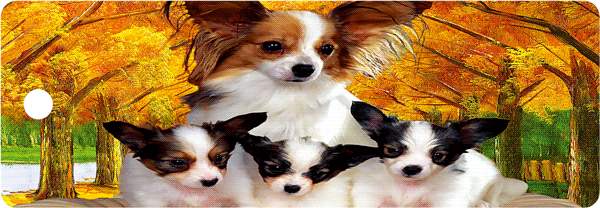 99d607e24ca8114b96e2c77ad255c2