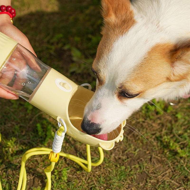Taza para mascotas, taza de agua portátil para perros, taza de agua para salir, taza para beber para mascotas con mensajero, taza de agua para pasear al perro al aire libre