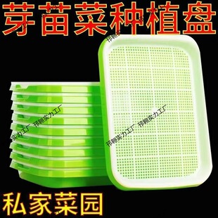 ���ܼӺ�С̖����P��ѿ���ˮ��W���㶹�綹ѿ�Nֲ�P�̨С�ˈ@