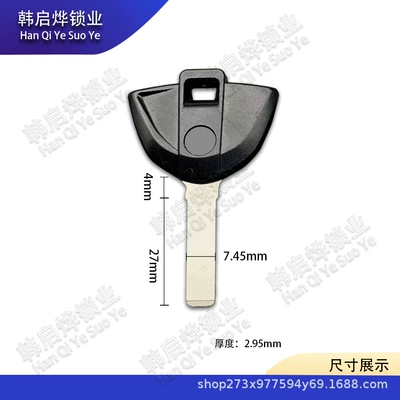 Suitable for Bmw/Bmw F750Gs F850Gs Adv Motorcycle Key Embryo Chip Lock Key Handle (Motorcycle Key) - bmw-105-black-31745295mm