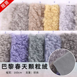 工厂批发巴黎春天颗粒绒羊卷毛卷毛绒 服装箱包抱枕毛毯绒毛面料
