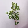 北欧工程仿真家居树枝