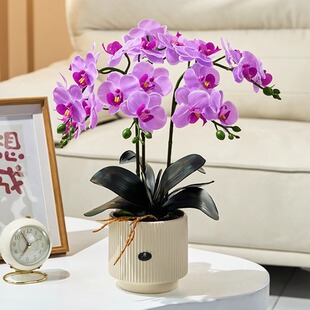 �����m���滨�[�O�m���p�ݸ߶˼ٻ��廨������ˇ�[�������[���b�