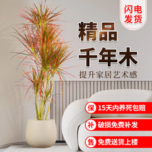 ߲FǧľGֲѪRβFȩ͏dk҃ȴ;Gֲ