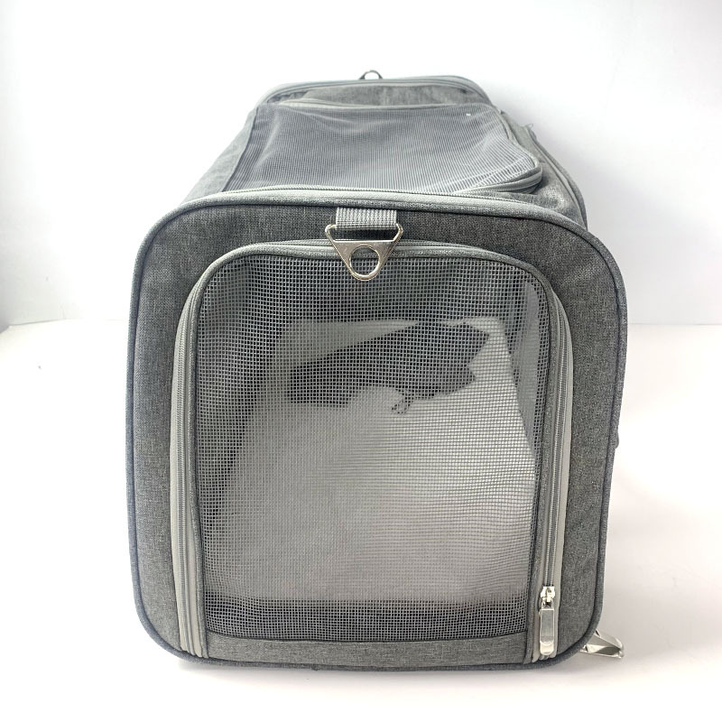 未标题-1_0005_微信图片_20221024163813