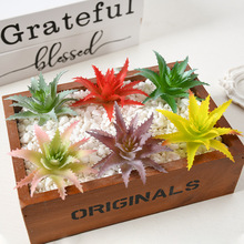 �������羳����С�J�Cֲ��GֲС�辰С���⻨�^diy����پGֲ