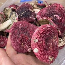 正品云南红菇 福建特产红菇红蘑菇月子菇干货 深山食用菌菇250克