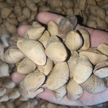 tAҷNľNSļșľ^Gһ320