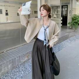 【送丝巾】韩范时尚休闲外套女短款