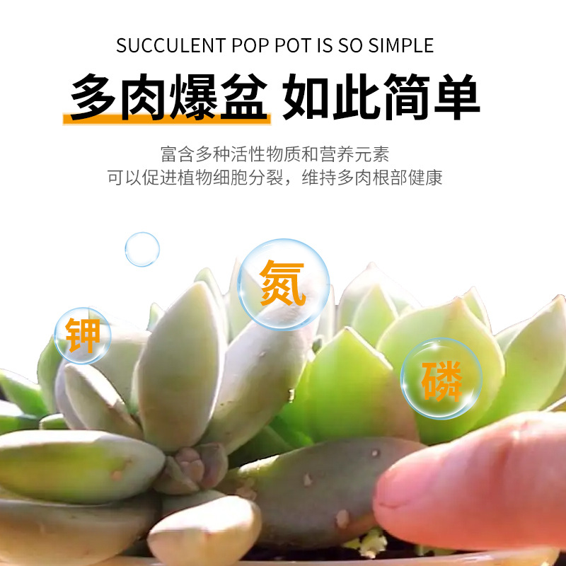 Succulent Budding Stimulant Green Plant Pot Fertilizer for Enriching and Enhancing Color, Succulent Cultivation Companion Root Strengthening Nutrient Solution, Growth Base