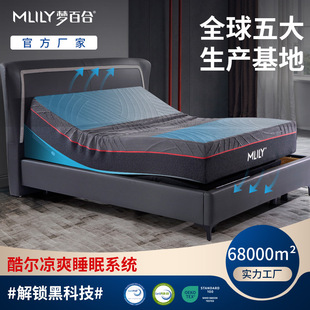 Индивидуальная производителя Dream Lily Прямая продажа Power Cool Electric Massage Smart Bed Умные кровати для подъема хлопкового матраса с памятью